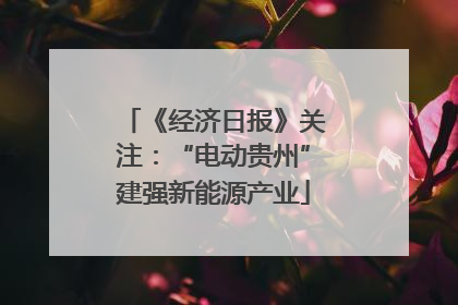 《经济日报》关注：“电动贵州”建强新能源产业
