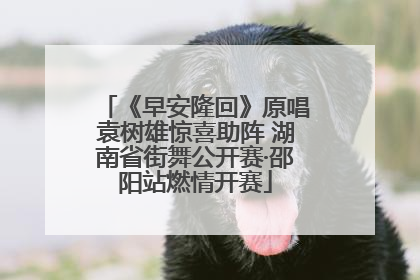 《早安隆回》原唱袁树雄惊喜助阵 湖南省街舞公开赛·邵阳站燃情开赛