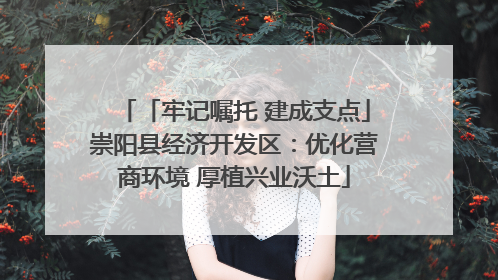 「牢记嘱托 建成支点」崇阳县经济开发区：优化营商环境 厚植兴业沃土