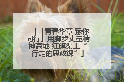 「青春华章 豫你同行」用脚步丈量精神高地 红旗渠上“行走的思政课”