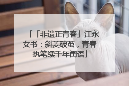 「非遗正青春」江永女书：斜菱破茧，青春执笔续千年闺语