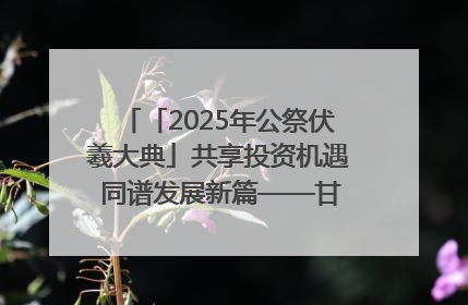 「2025年公祭伏羲大典」共享投资机遇 同谱发展新篇——甘肃省文旅产业链招商引资推介会侧记