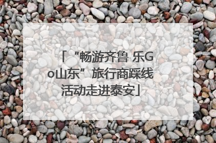 “畅游齐鲁 乐Go山东”旅行商踩线活动走进泰安