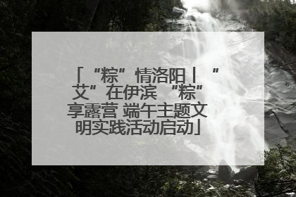 “粽”情洛阳丨“艾”在伊滨 “粽”享露营 端午主题文明实践活动启动