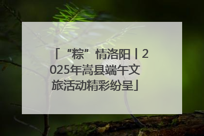 “粽”情洛阳丨2025年嵩县端午文旅活动精彩纷呈