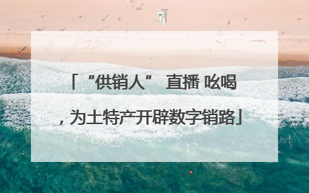“供销人” 直播 吆喝，为土特产开辟数字销路