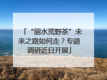 “丽水荒野茶”未来之路如何走？专题调研近日开展