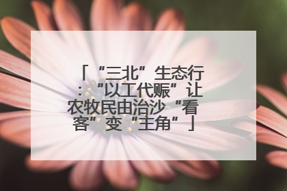 “三北”生态行：“以工代赈”让农牧民由治沙“看客”变“主角”