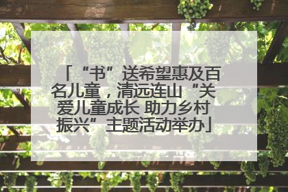 “书”送希望惠及百名儿童，清远连山“关爱儿童成长 助力乡村振兴”主题活动举办