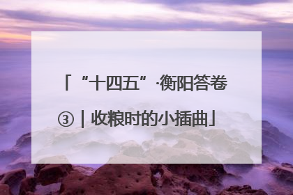 “十四五”·衡阳答卷③｜收粮时的小插曲