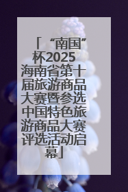 “南国”杯2025海南省第十届旅游商品大赛暨参选中国特色旅游商品大赛评选活动启幕