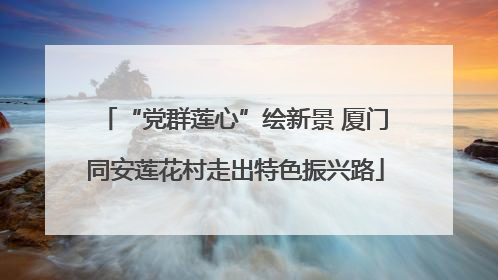 “党群莲心”绘新景 厦门同安莲花村走出特色振兴路