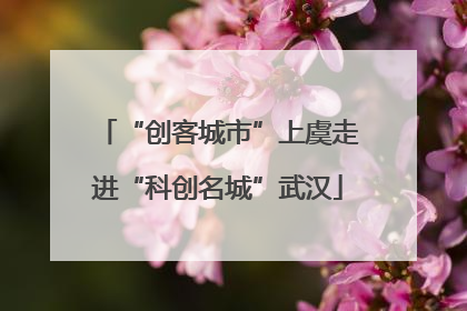 “创客城市”上虞走进“科创名城”武汉