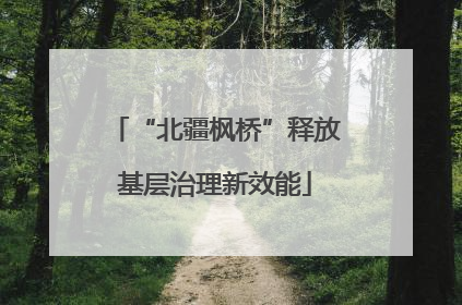 “北疆枫桥”释放基层治理新效能