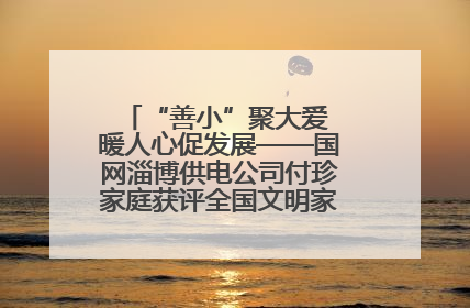 “善小”聚大爱 暖人心促发展——国网淄博供电公司付珍家庭获评全国文明家庭背后的文明密码