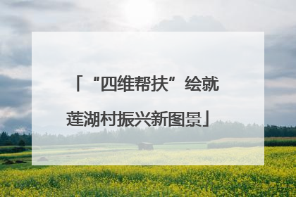 “四维帮扶”绘就莲湖村振兴新图景