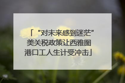 “对未来感到迷茫” 美关税政策让西雅图港口工人生计受冲击