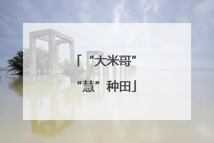 “大米哥”“慧”种田