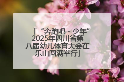 “奔跑吧・少年”2025年四川省第八届幼儿体育大会在乐山圆满举行