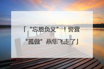 “忘恩负义”！警营“孤傲”燕隼飞走了