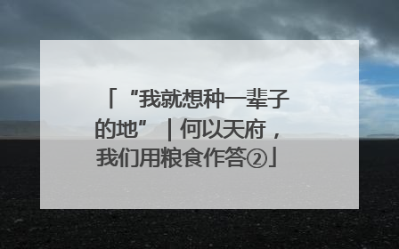 “我就想种一辈子的地”｜何以天府，我们用粮食作答②