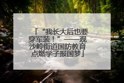 “我长大后也要穿军装！”——观沙岭街道国防教育点燃学子报国梦