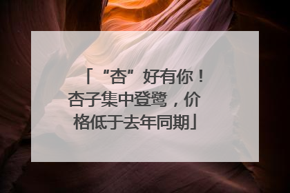 “杏”好有你！杏子集中登鹭，价格低于去年同期
