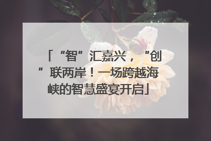 “智”汇嘉兴，“创”联两岸！一场跨越海峡的智慧盛宴开启