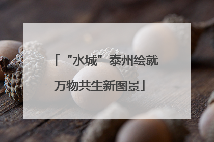 “水城”泰州绘就万物共生新图景
