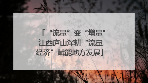 “流量”变“增量” 江西庐山深耕“流量经济”赋能地方发展