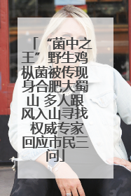 “菌中之王”野生鸡枞菌被传现身合肥大蜀山 多人跟风入山寻找 权威专家回应市民三问