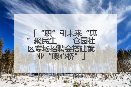 “职”引未来“惠”聚民生——仓园社区专场招聘会搭建就业“暖心桥”