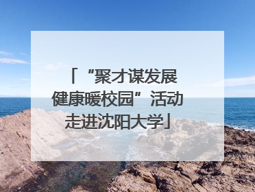 “聚才谋发展 健康暖校园”活动走进沈阳大学