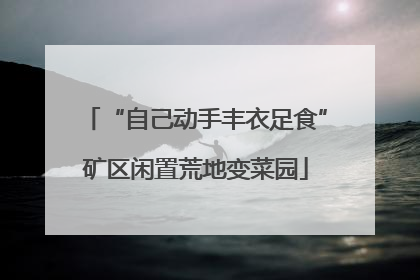 “自己动手丰衣足食”矿区闲置荒地变菜园