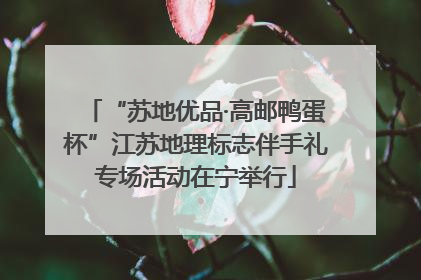 “苏地优品·高邮鸭蛋杯”江苏地理标志伴手礼专场活动在宁举行