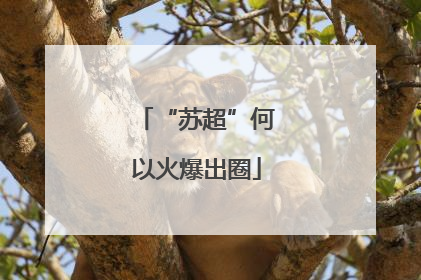 “苏超”何以火爆出圈