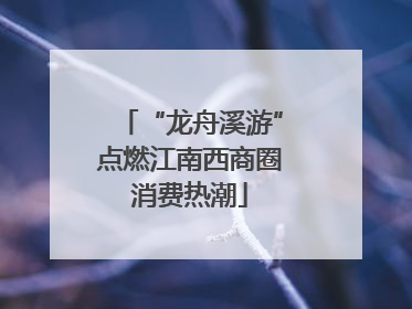 “龙舟溪游”点燃江南西商圈消费热潮