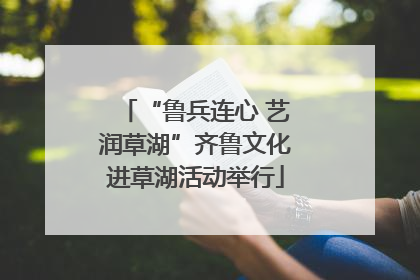“鲁兵连心 艺润草湖”齐鲁文化进草湖活动举行
