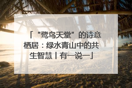 “鹭鸟天堂”的诗意栖居：绿水青山中的共生智慧丨有一说一