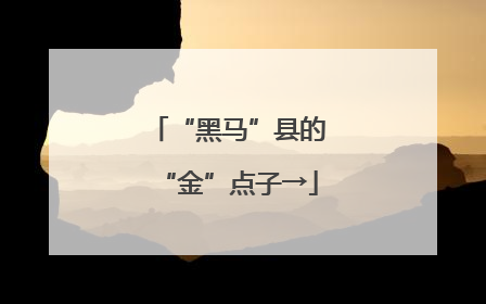 “黑马”县的“金”点子→