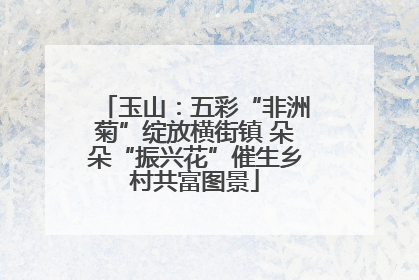 玉山：五彩“非洲菊”绽放横街镇 朵朵“振兴花”催生乡村共富图景