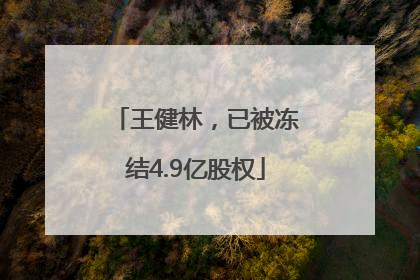 王健林，已被冻结4.9亿股权