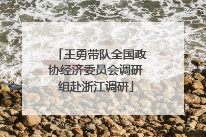 王勇带队全国政协经济委员会调研组赴浙江调研