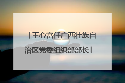 王心富任广西壮族自治区党委组织部部长