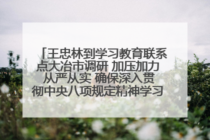 王忠林到学习教育联系点大冶市调研 加压加力 从严从实 确保深入贯彻中央八项规定精神学习教育取得实效
