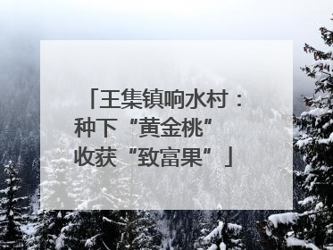 王集镇响水村：种下“黄金桃” 收获“致富果”