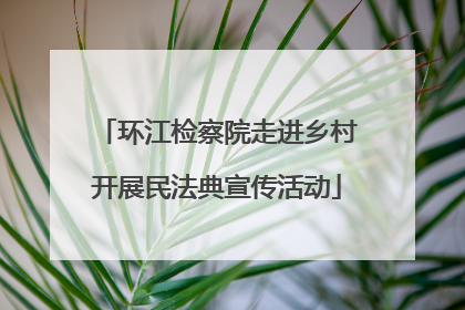 环江检察院走进乡村开展民法典宣传活动