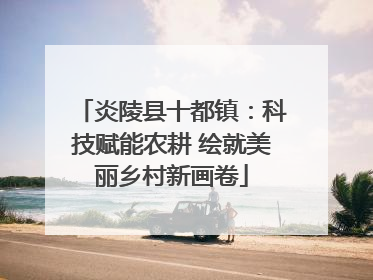 炎陵县十都镇：科技赋能农耕 绘就美丽乡村新画卷