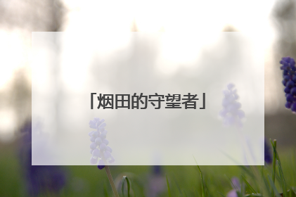烟田的守望者