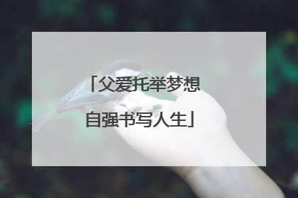 父爱托举梦想 自强书写人生